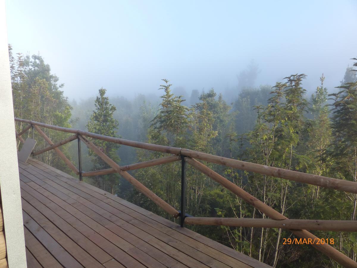 Cabanas Latitud 41 Sur Quillaipe Exteriér fotografie