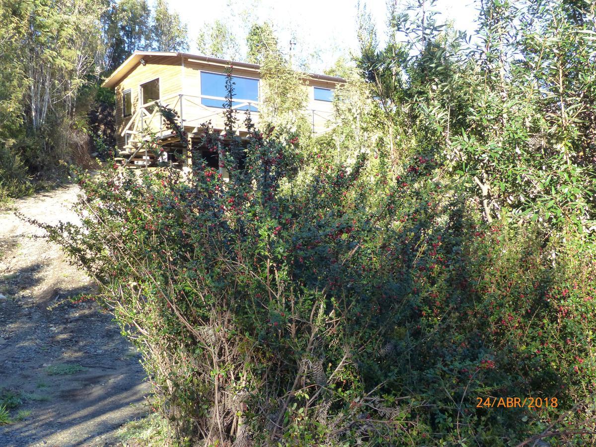 Cabanas Latitud 41 Sur Quillaipe Exteriér fotografie